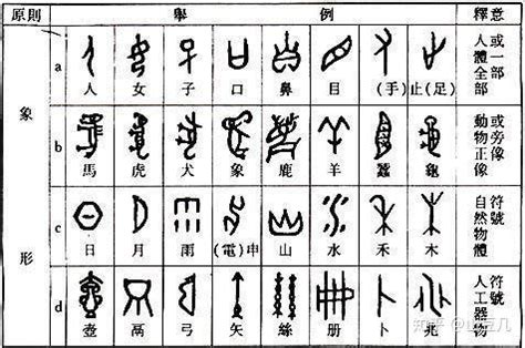 代表陽光的字|有哪些字象征阳光的？